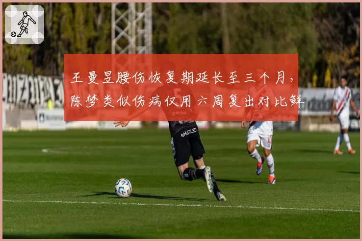 王曼昱腰伤恢复期延长至三个月，陈梦类似伤病仅用六周复出对比鲜明